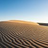 Beautiful sand dunes in Florence, Oregon showcasing serene, undulating patterns under a clear blue sky.